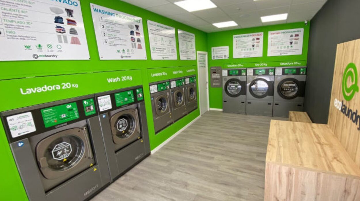 lavanderia ecologica ecolaundry