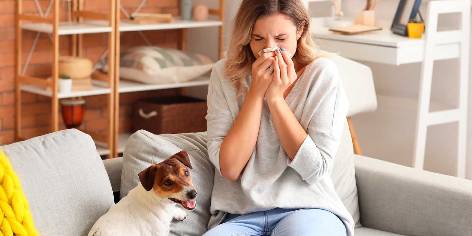 tu casa libre de alergias