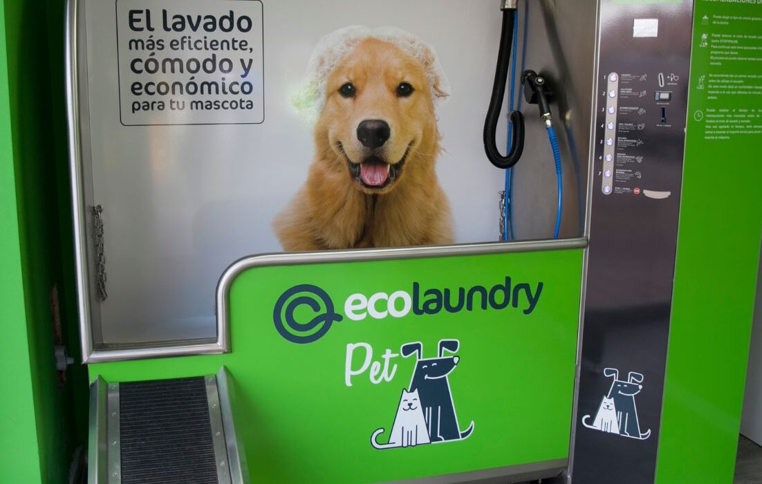 lavanderia mascota
