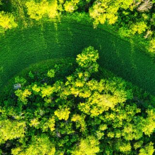 lavanderia autoservicio economia circular