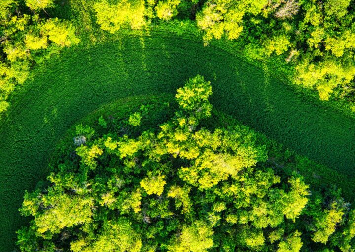 lavanderia autoservicio economia circular