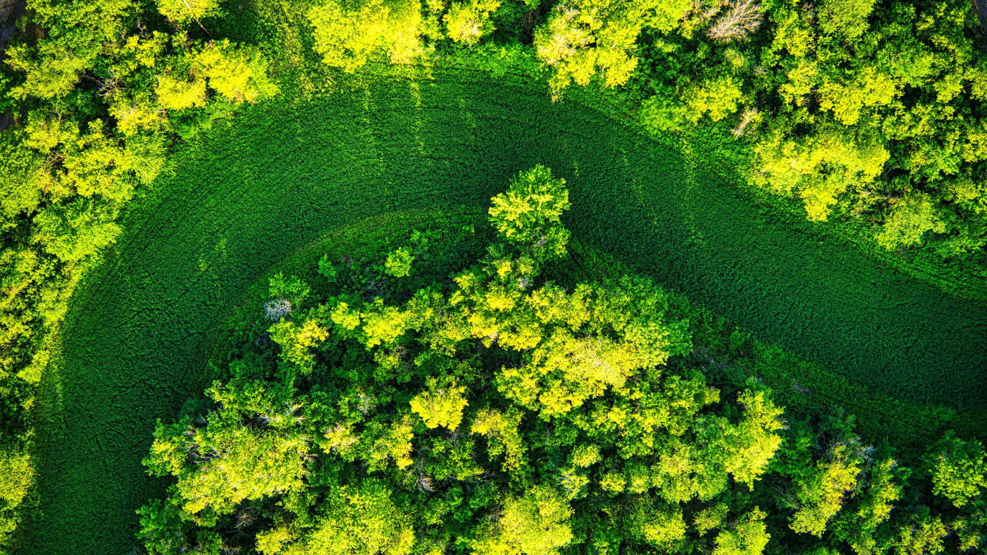 lavanderia autoservicio economia circular