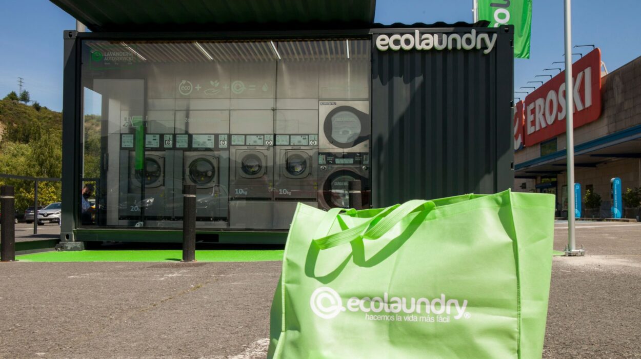 montar lavanderia autoservicio